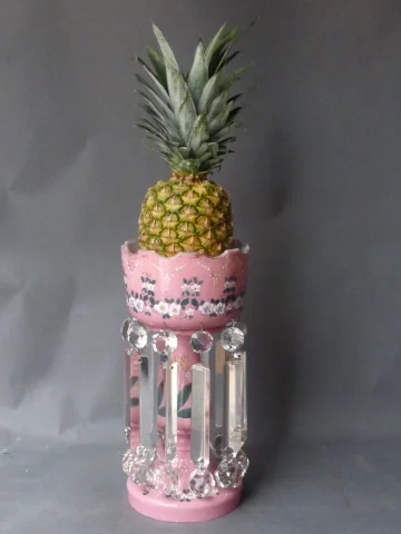 PINEAPPLE STAND