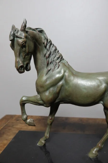 cheval en régule