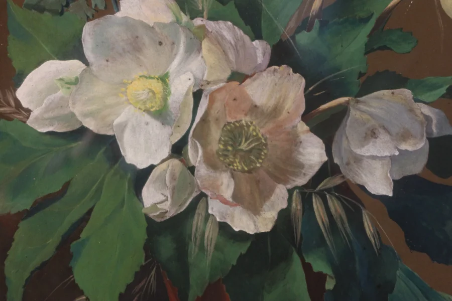 SIGNED AND DATED PAINTING OF HELLEBORES