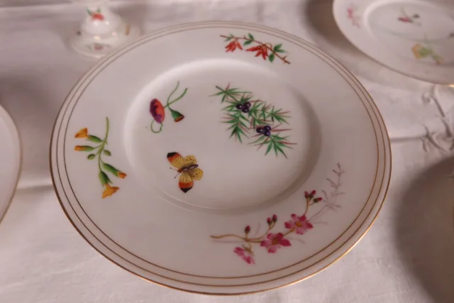 Service de table en porcelaine fin XIXème