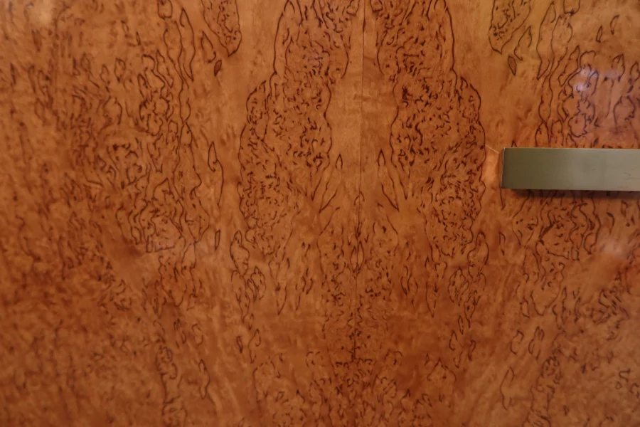 ROGER BAL 设计的 BIRCH WARDROBE