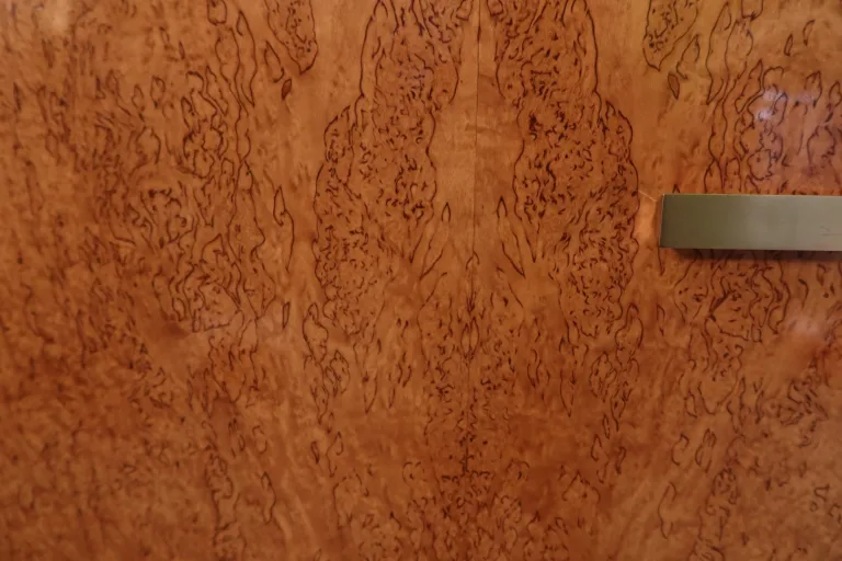 Armoire en bouleau madré de Roger Bal à Paris