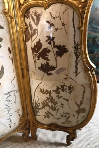 Paravent im Louis XV-Stil