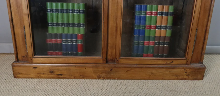 NINETEENTH CENTURY BOOKCASE