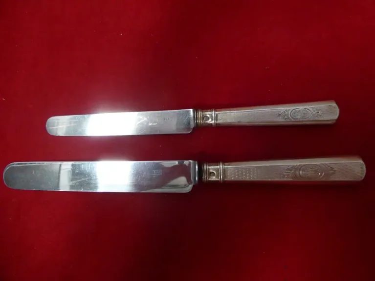 CUCHILLOS DE PLACA DE PLATA