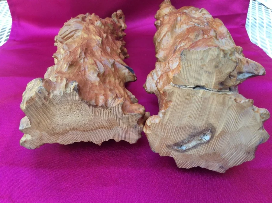 Paire de sages sculptés dans racine Chine  début XXème