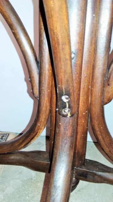 Porte manteau en hêtre modèle "Perroquet" en bois courbé foncé à huit patères style Thonet début 20ème