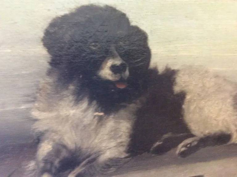 Huile sur toile chien sur bord de jeter signé F.Lardet