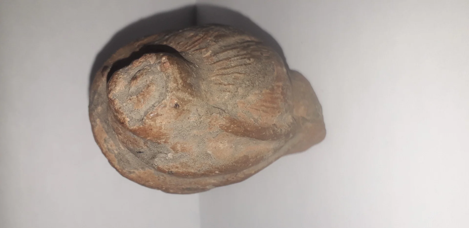 Tête antique  de femme à la coiffure méchée relevée en un haut chignon terre cuite