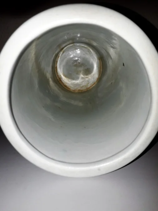 Vase en porcelaine asiatique décor coqs fin XIXème siècle