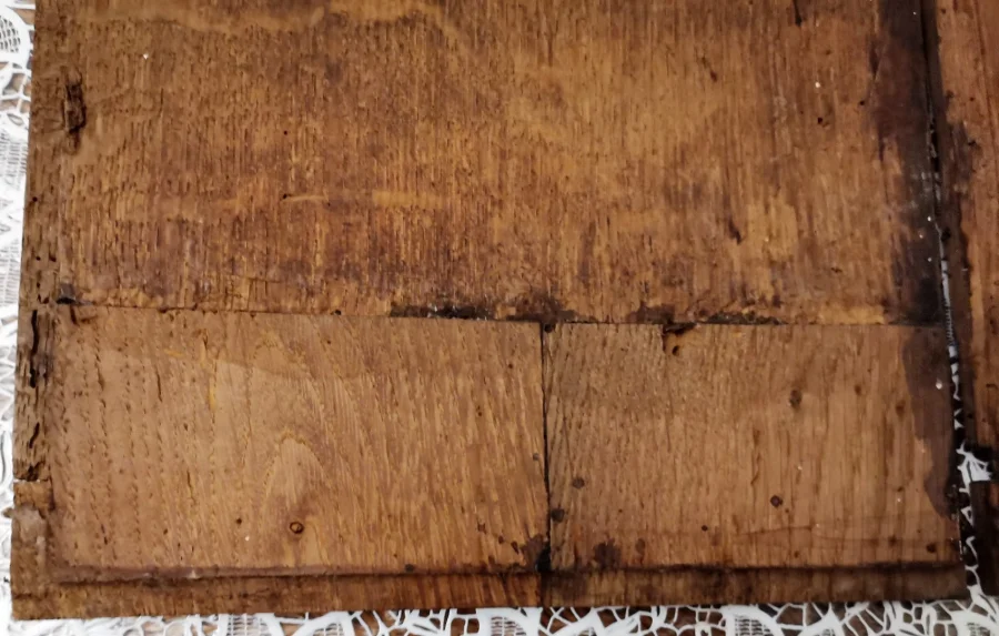 17th CENTURY OAK PANELS