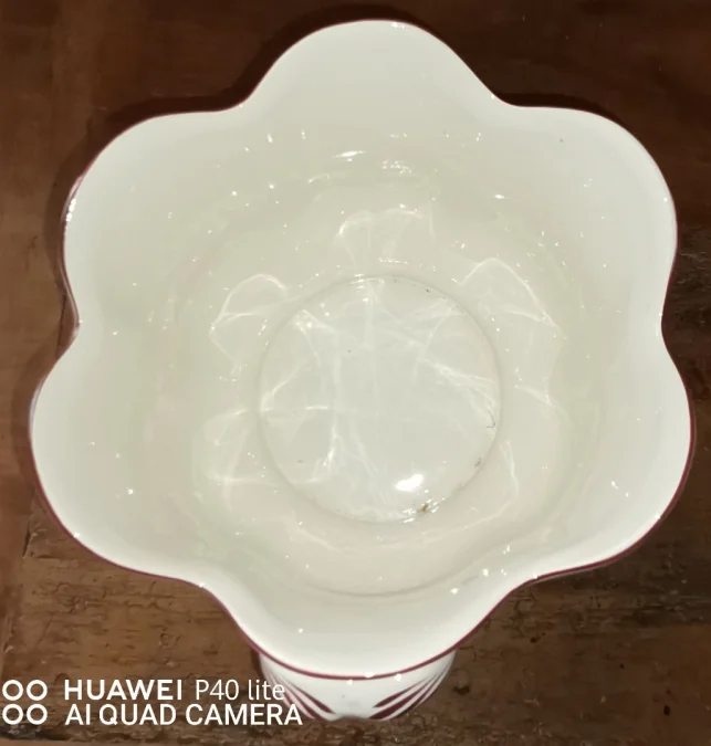 CACHEPOT