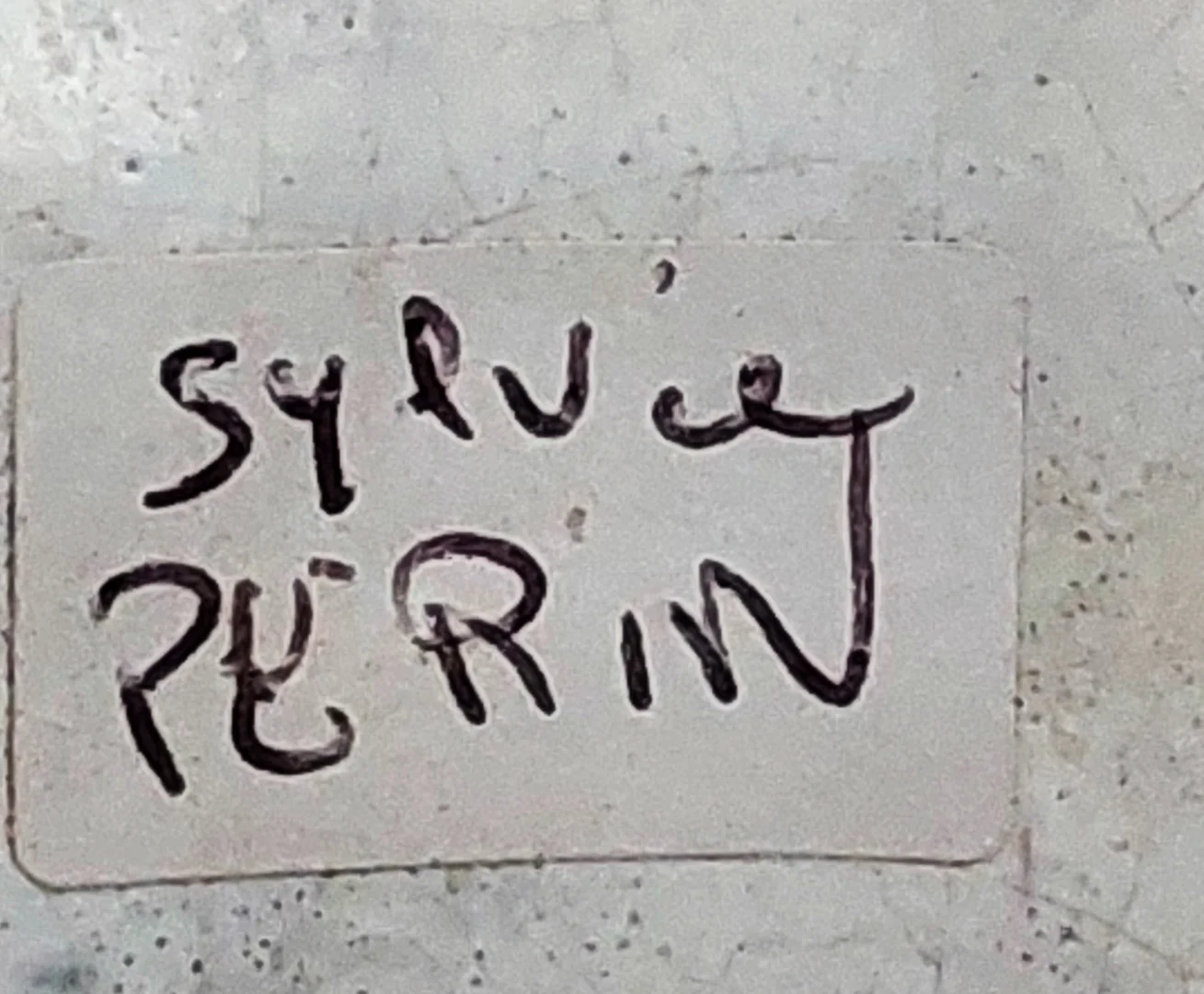 VINTAGE VAAS van Sylvie Perin