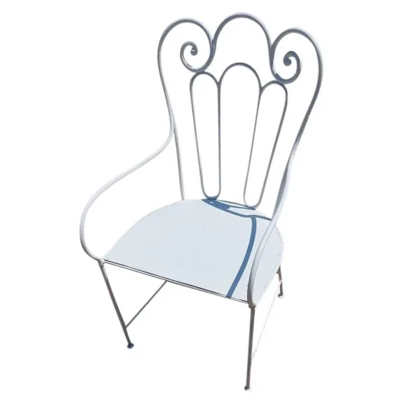 Fauteuil de jardin en fer forgé assise aussi début 1900