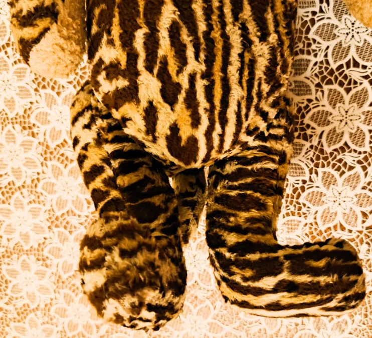 SOFT TOY