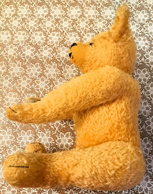 TEDDY BEAR