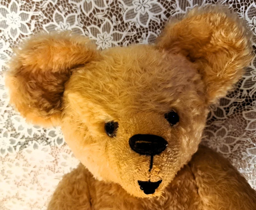 TEDDY BEAR