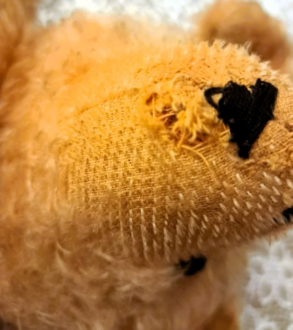 TEDDY BEAR