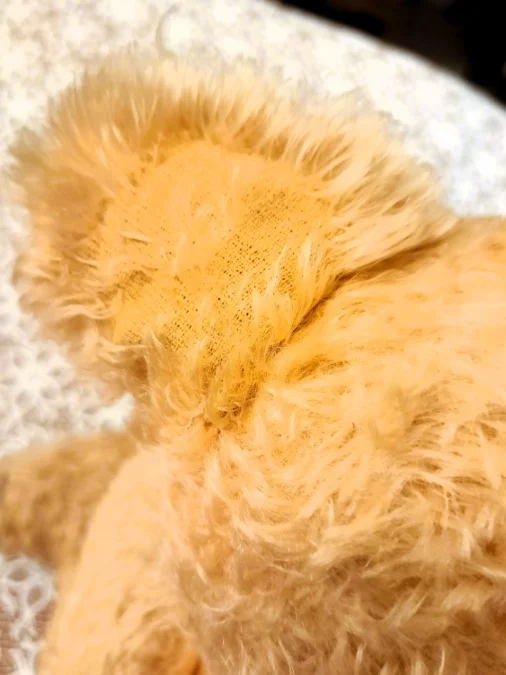TEDDY BEAR