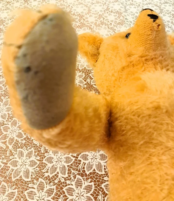 TEDDY BEAR