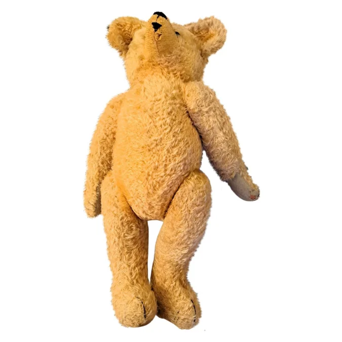 TEDDY BEAR