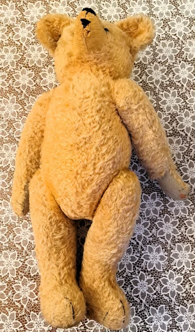 TEDDY BEAR