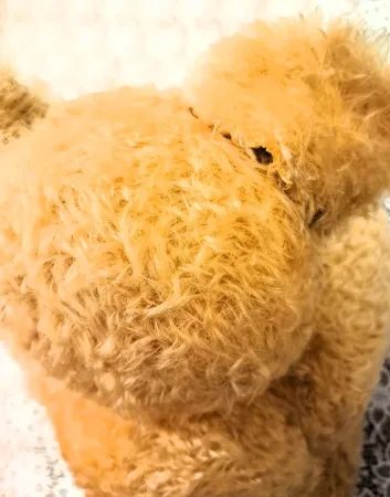 Ours en peluche avec les yeux de verre année 1920 ou 1930 haut 57 cm