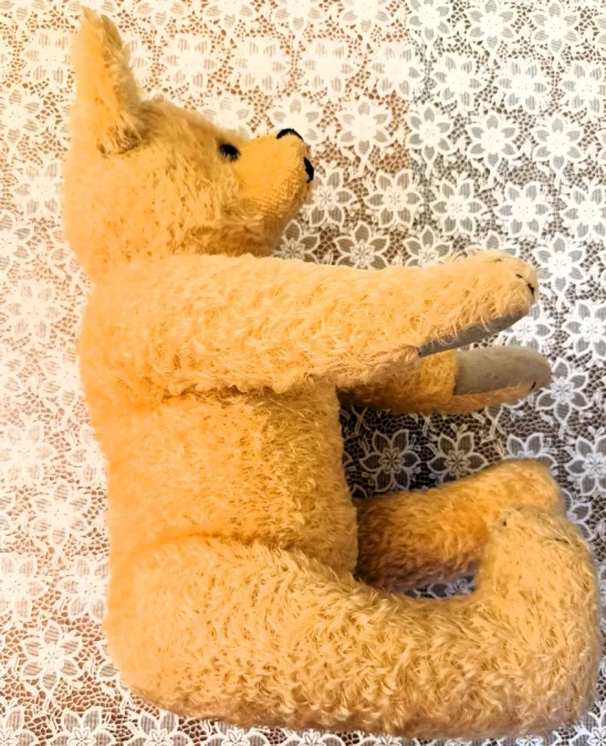TEDDY BEAR