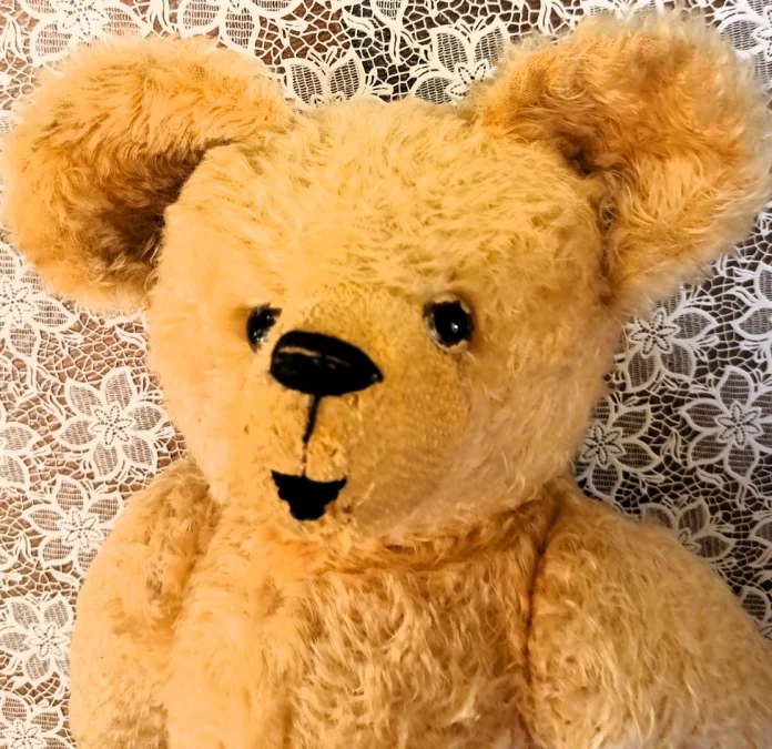 TEDDY BEAR