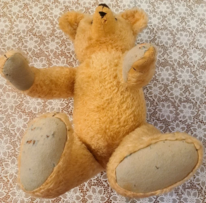 TEDDY BEAR
