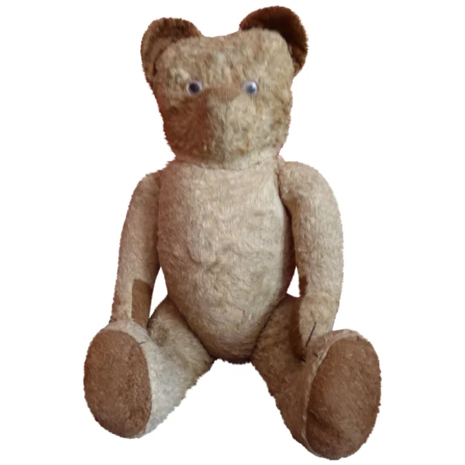 TEDDY BEAR