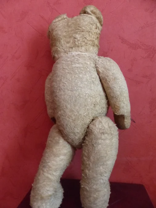 TEDDY BEAR