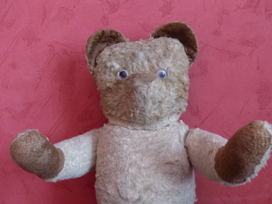 TEDDY BEAR