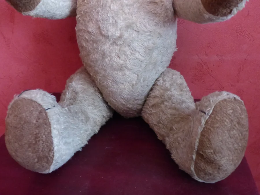 TEDDY BEAR