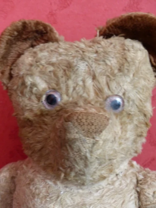 TEDDY BEAR