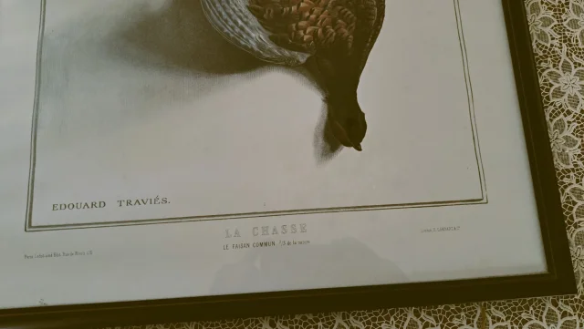 Gravure de Chasse le Faisan d'après Edouard Traviés