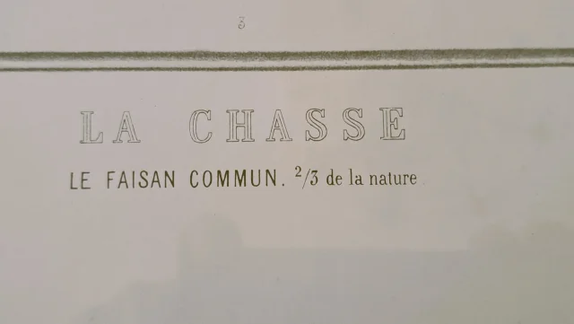 Gravure de Chasse le Faisan d'après Edouard Traviés