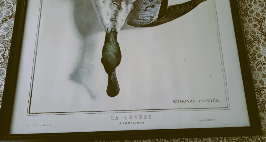 PRINT after  Edouard Traviés