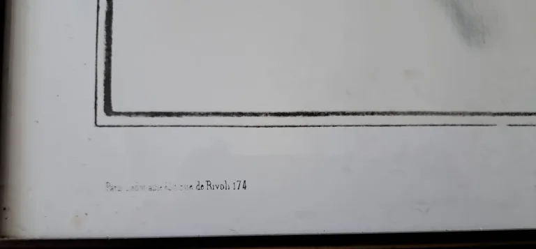 Gravure de Chasse le Canard souchet d'après Edouard Traviés