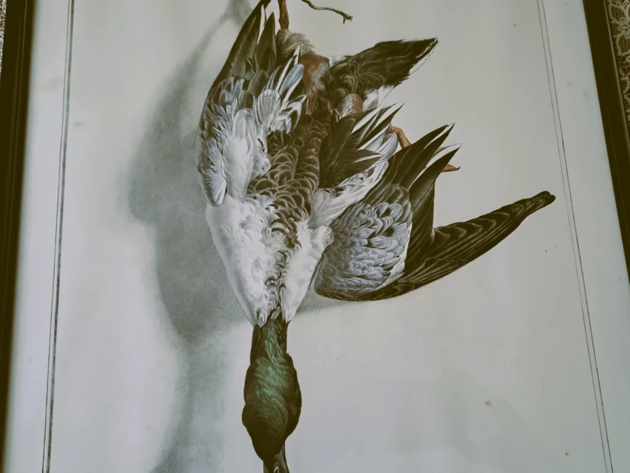 PRINT after  Edouard Traviés