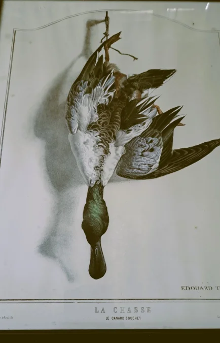 PRINT after  Edouard Traviés
