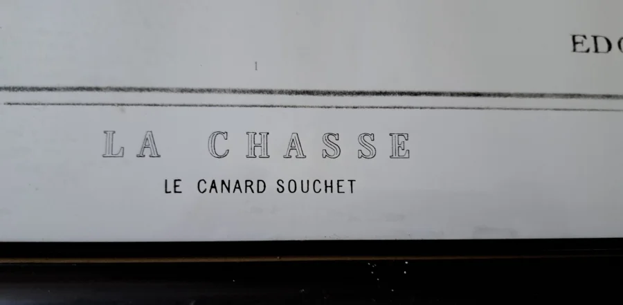 PRINT after  Edouard Traviés