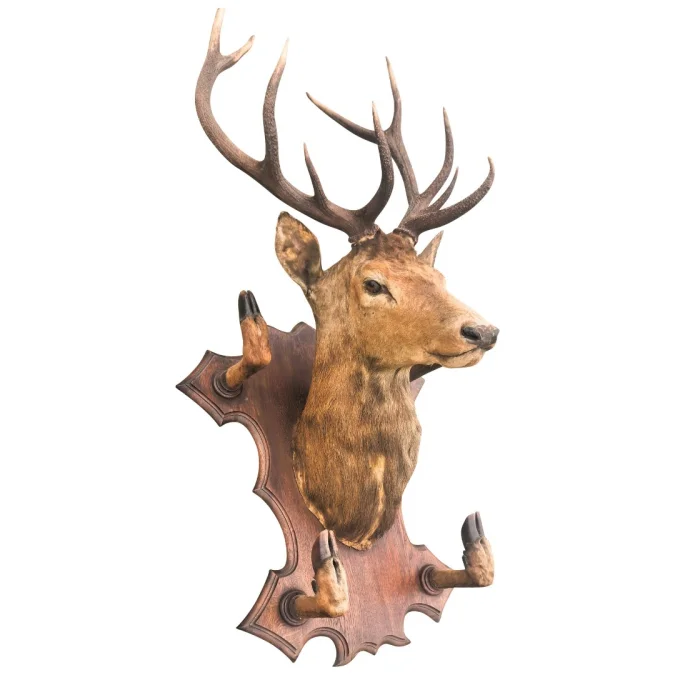 Trophée de chasse tête de cerf 10 cors avec 4 pieds servant de porte manteau