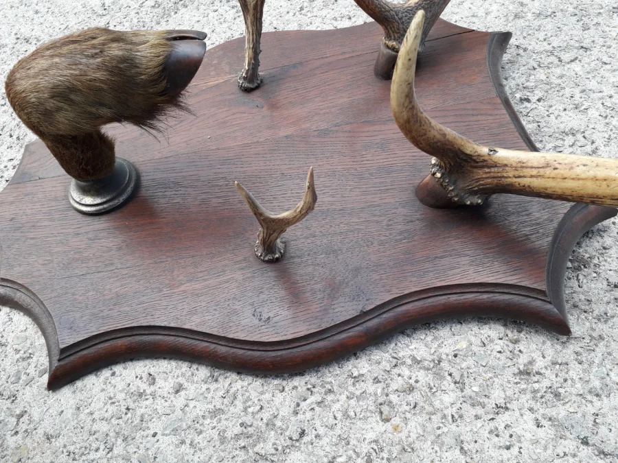 Porte manteaux en bois de cerf début 20ème
