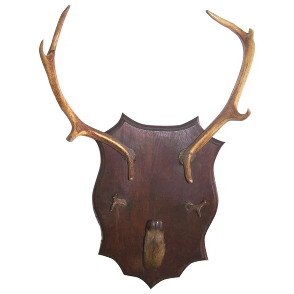 Porte manteaux en bois de cerf début 20ème