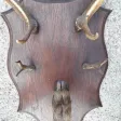 Porte manteaux en bois de cerf début 20ème