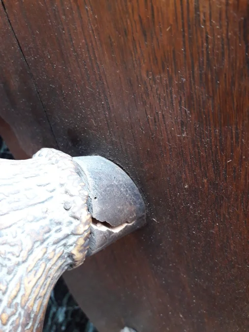 Porte manteaux en bois de cerf début 20ème