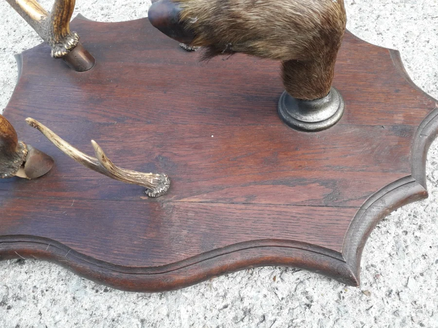 Porte manteaux en bois de cerf début 20ème