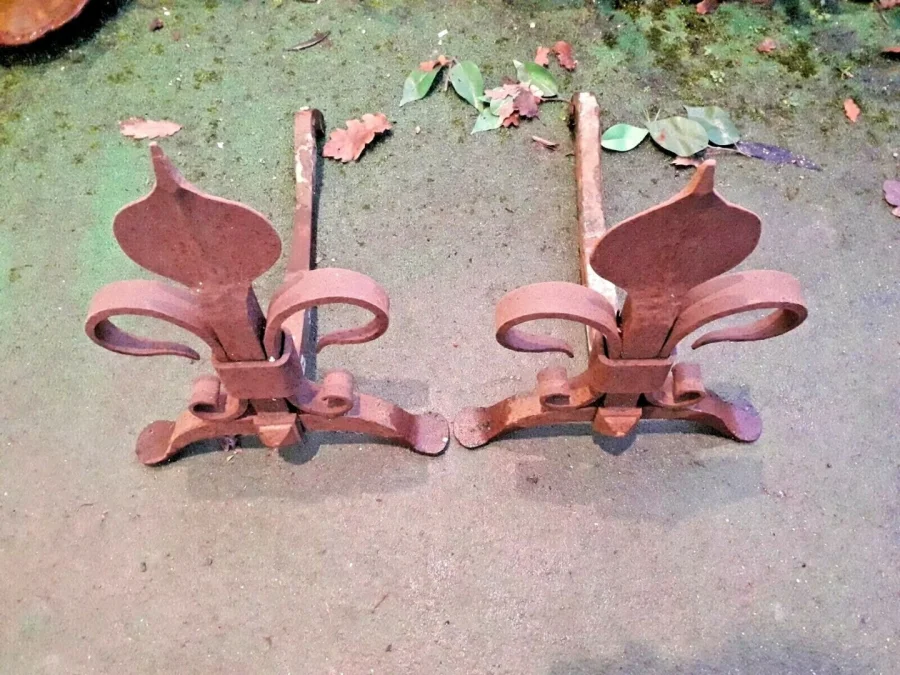 paire de chenets fleur de lys