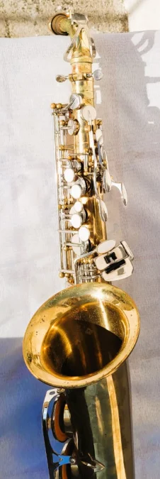 Saxophone Sakura avec sa valise